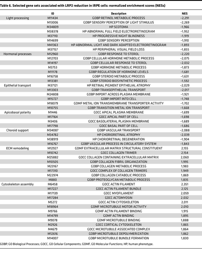 Selected gene sets associated with LRP2 reduction in iRPE cells: normali...