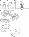 Differentially expressed genes (DEGs) between siLRP2 and scrambled iRPE cel