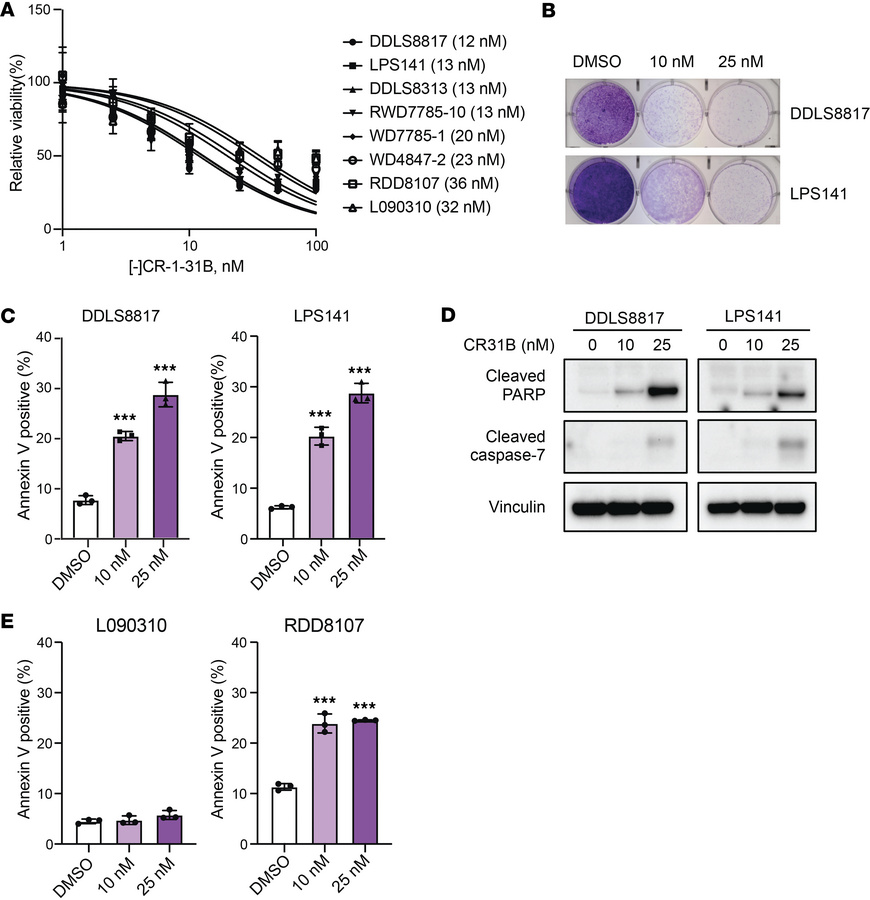 [-]CR-1-31B is active against a panel of WD/DDLS cell lines.
(A) Prolife...