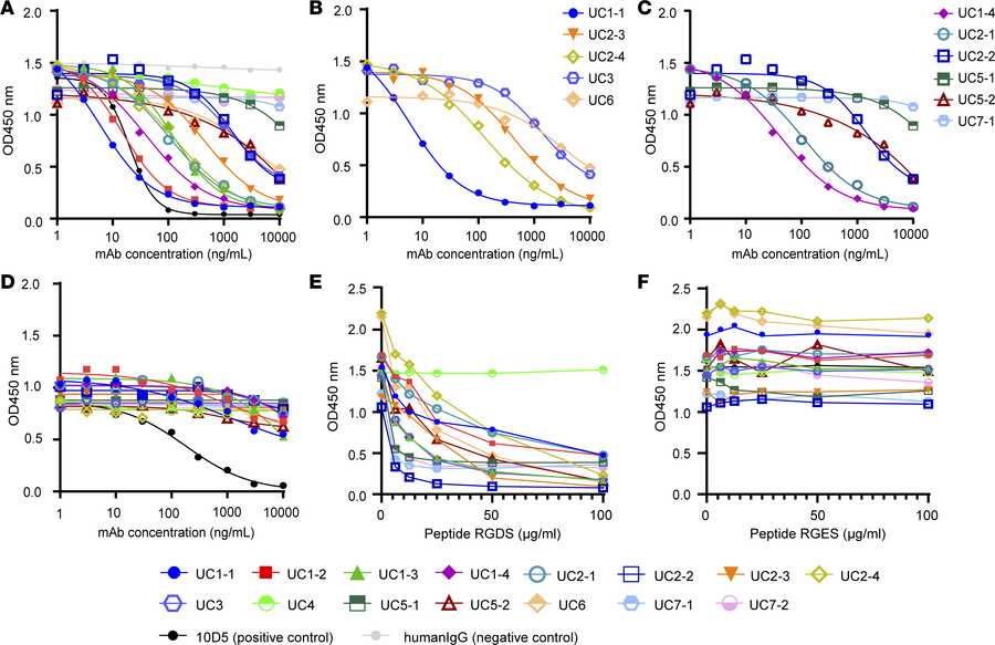 Blocking of integrin αvβ6–fibronectin binding or integrin αvβ6–LAP bindi...