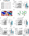 14-3-3ε–NLRP3 interaction depends on NLRP3 phosphorylation at S194 position