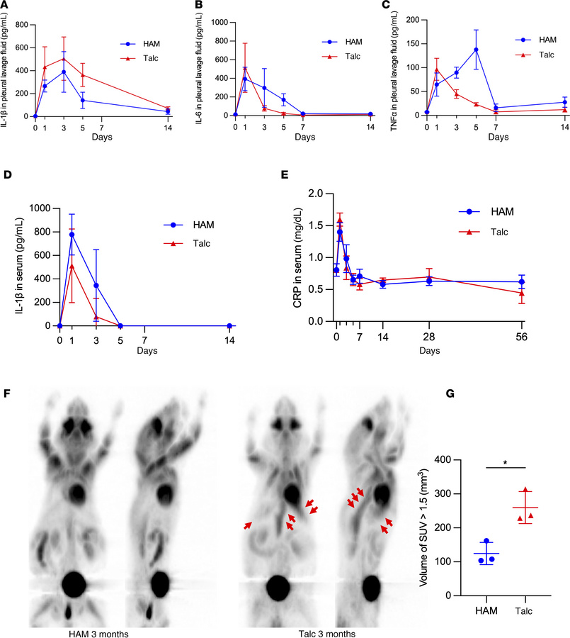 Pleural and systemic inflammation associated with HAM and talc pleurodes...