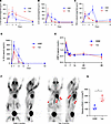 Pleural and systemic inflammation associated with HAM and talc pleurodesis.