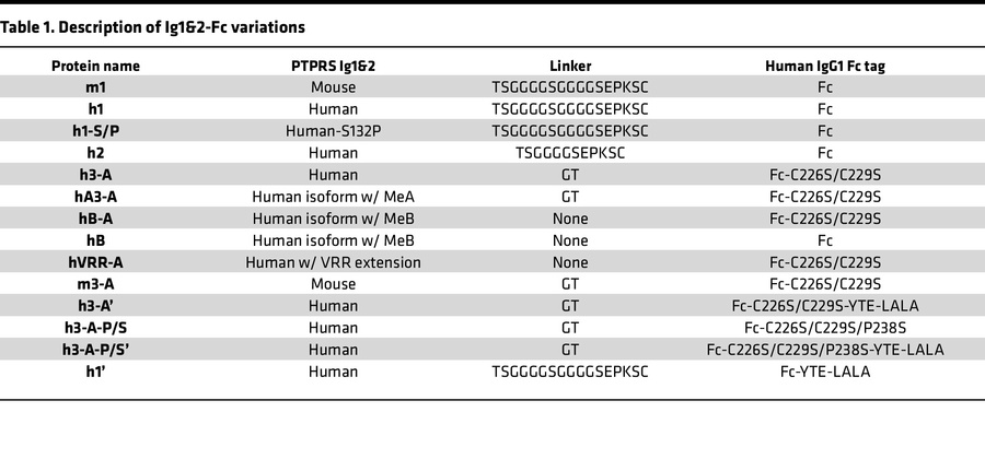 Description of Ig1&2-Fc variations