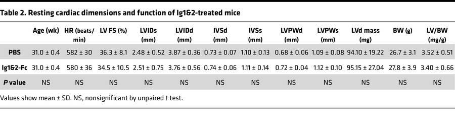 Resting cardiac dimensions and function of Ig1&2-treated mice