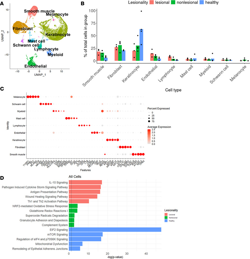 Cellular composition of palmoplantar pustulosis skin and healthy skin.
(...