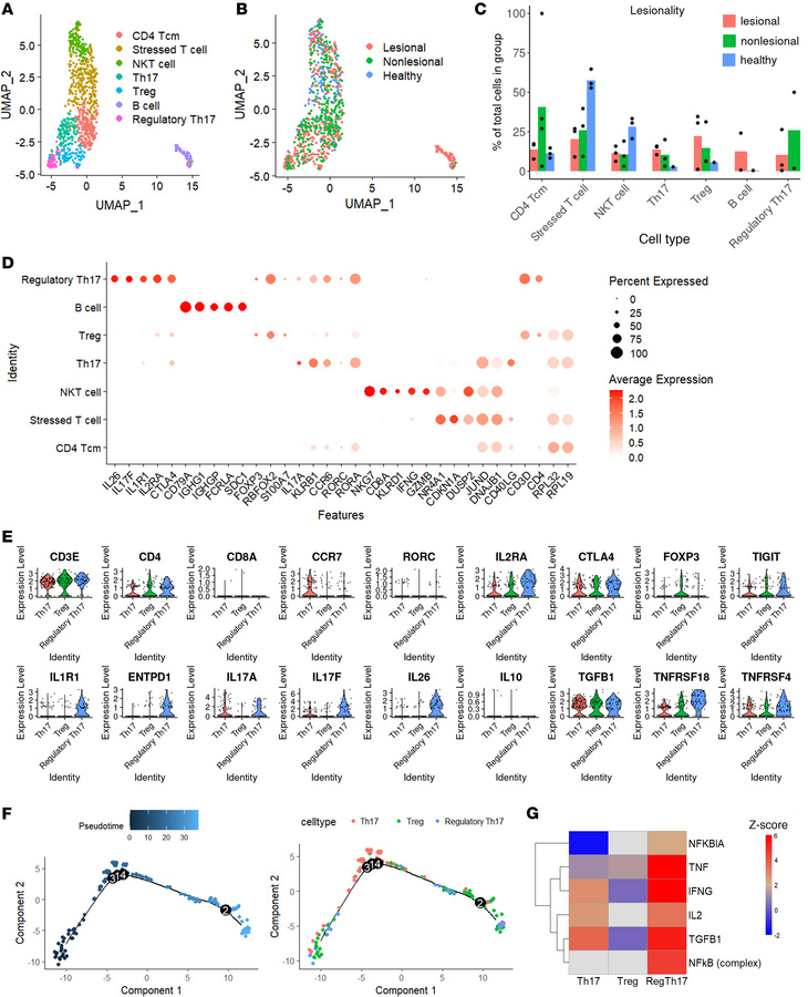 Regulatory Th17 cells identified as a key modulator in the PPP lesional ...