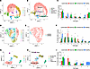 Cellular composition in PPP and healthy skin by subclusters.