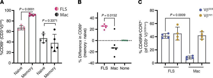 FLS exert a greater effect on memory T cells.
(A) Sorted naive (CD45RA+C...