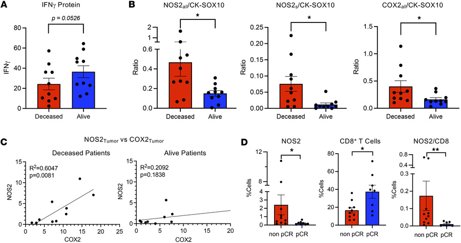 Survival analysis of tumor NOS2, COX2, and IFN-γ at 5 years after diagno...