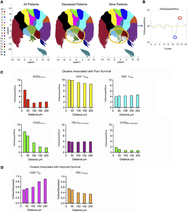Unsupervised spatial S-UMAP analysis validates the predictive value of N...