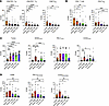 Regional placement of cellular phenotypes within the tumor.