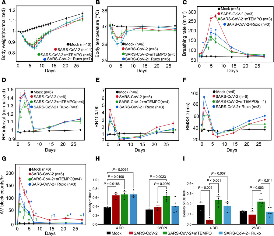 Effects of mitochondrial ROS scavenging or JAK/STAT inhibition on pulmon...