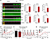 PIC increases expression of antiviral interferon signaling proteins and alt