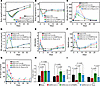Effects of mitochondrial ROS scavenging or JAK/STAT inhibition on pulmonary