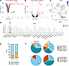 Expression of Marco is upregulated in a specific macrophage subpopulation i