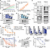 YOD1 inhibitor G5 can inhibit the malignant phenotypes of FP-RMS cells.