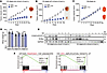 YOD1 inhibitor G5 inhibits FP-RMS tumor growth in vivo.