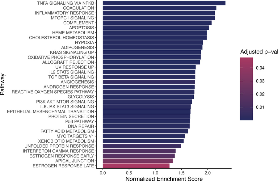 Pathway enrichment results for CD45+ cells from patients with chronic pa...