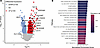 CD45+ cell gene expression and pathway enrichment changes in VOEs.