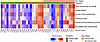 Heatmap of GSVA scores indicates changes in pathway enrichment between stea