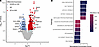 CD71+ cell gene expression and pathway enrichment changes in VOEs.