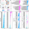 Effects of MMC on the lung proteomic landscape in Ctrl and KO mice.