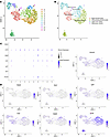 scRNA-Seq analysis on the epidermal cells of Krox 20-GFP P5 pups reveals ce