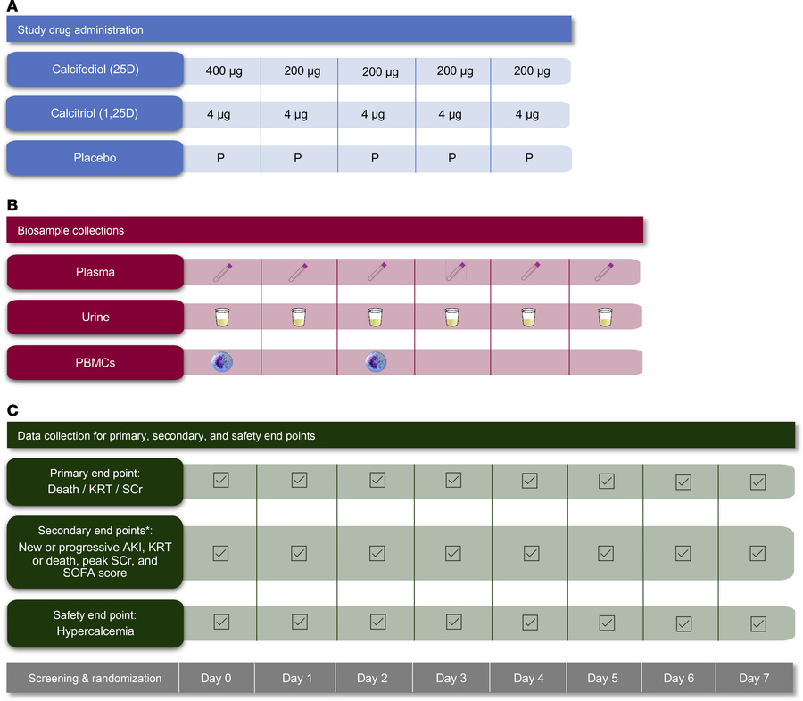 Trial schematic.
(A) The study drug administrations on days 0 to 4. (B) ...