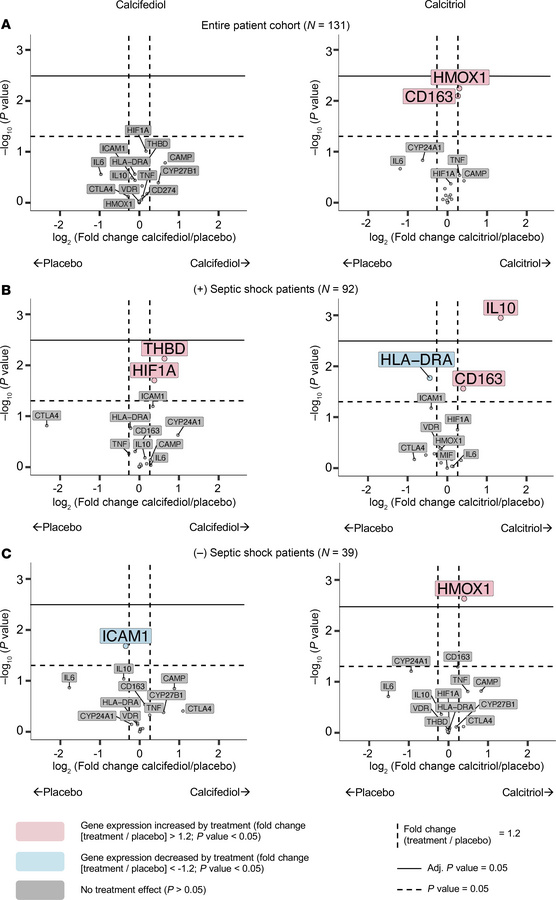 Effect of calcifediol and calcitriol on monocyte expression of prespecif...