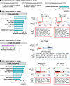 Effect of calcifediol and calcitriol treatment on monocyte gene set enrichm