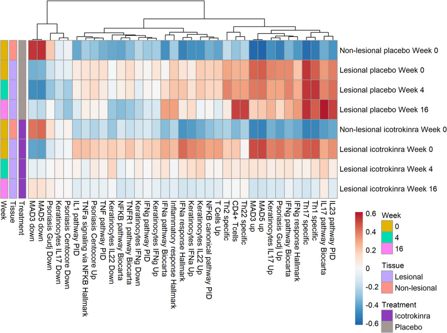 GSVA scores of skin biopsies in lesional and nonlesional skin among part...