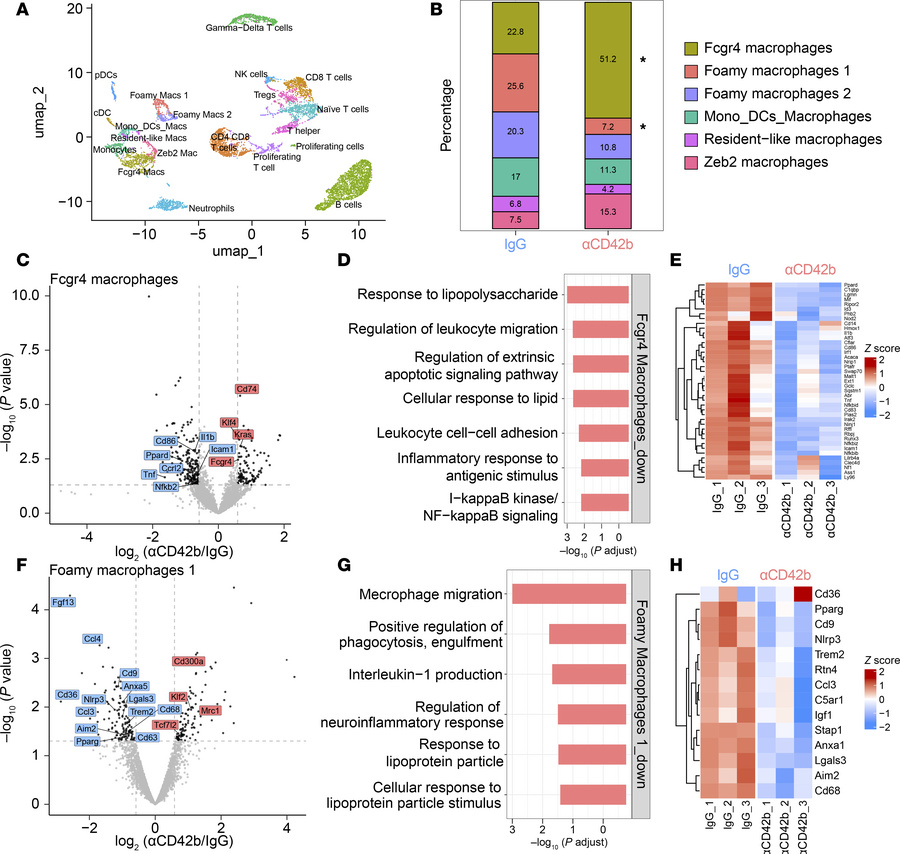 CD45+ scRNA-seq shows that loss of platelets changes the phenotype of pl...