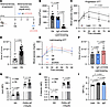 Platelet activation and impaired glucose tolerance are sustained during the