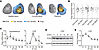 Expression and rhythmic oscillation of POGZ in the SCN and liver.