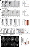 Pogz-deficient mice are defective in resetting the circadian clock.