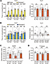Autism-related behaviors in Pogz-deficient mice.