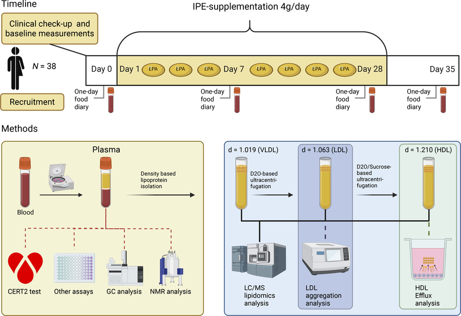 Study timeline and methods.
Seventy-two participants (34 male and 38 fem...