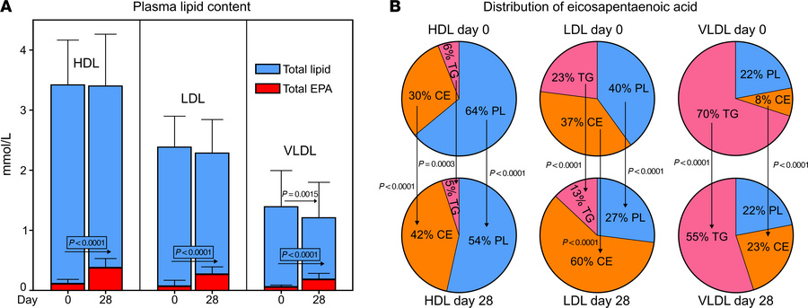 Impact of IPE supplementation on EPA distribution in plasma and lipoprot...