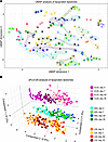 Global analysis of IPE supplementation effects on lipoprotein lipidomes.