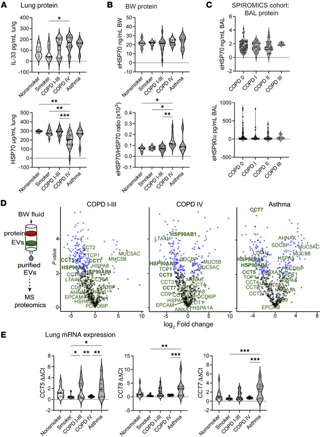 Heat shock intermediates and IL-33 are present in BALF, and EV contents ...