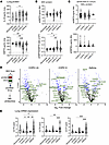 Heat shock intermediates and IL-33 are present in BALF, and EV contents is