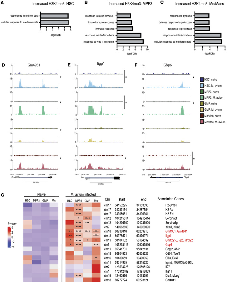
M. avium–infected HSPCs and macrophages exhibit significant increases i...