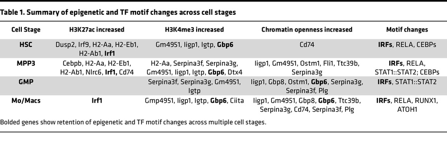 Summary of epigenetic and TF motif changes across cell stages