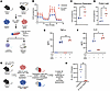 Mycobacterium avium infection promotes HPSC central trained immunity with e