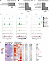 M. avium–infected HSPCs and macrophages exhibit significant increases in H3