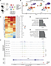 HSPCs and monocytes exhibit distinct chromatin accessibility changes upon M