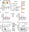 Selective and dose-dependent Treg expansion following IL-2 mutein treatment