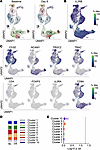 No changes in single-cell gene expression by CD122+ non-Tregs following IL-