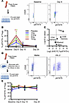 Prolonged, selective, dose-dependent pSTAT5 activation in Tregs following I